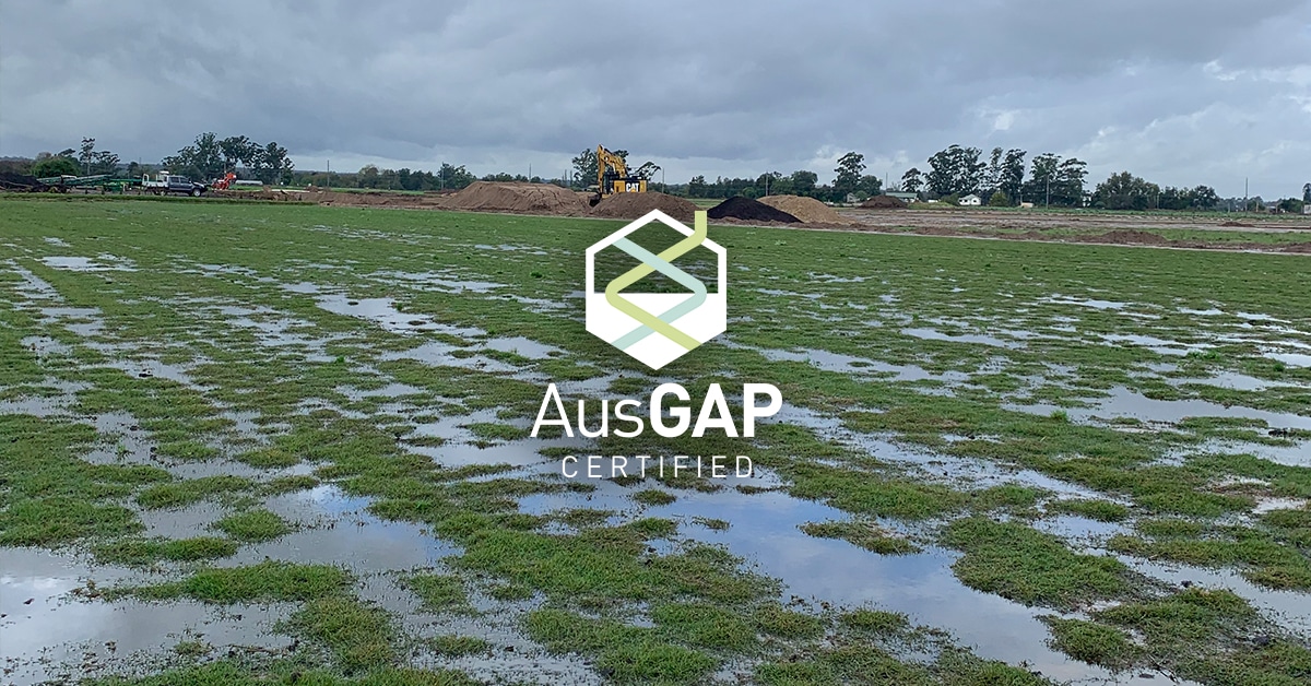 Flood effects on soil and turf health