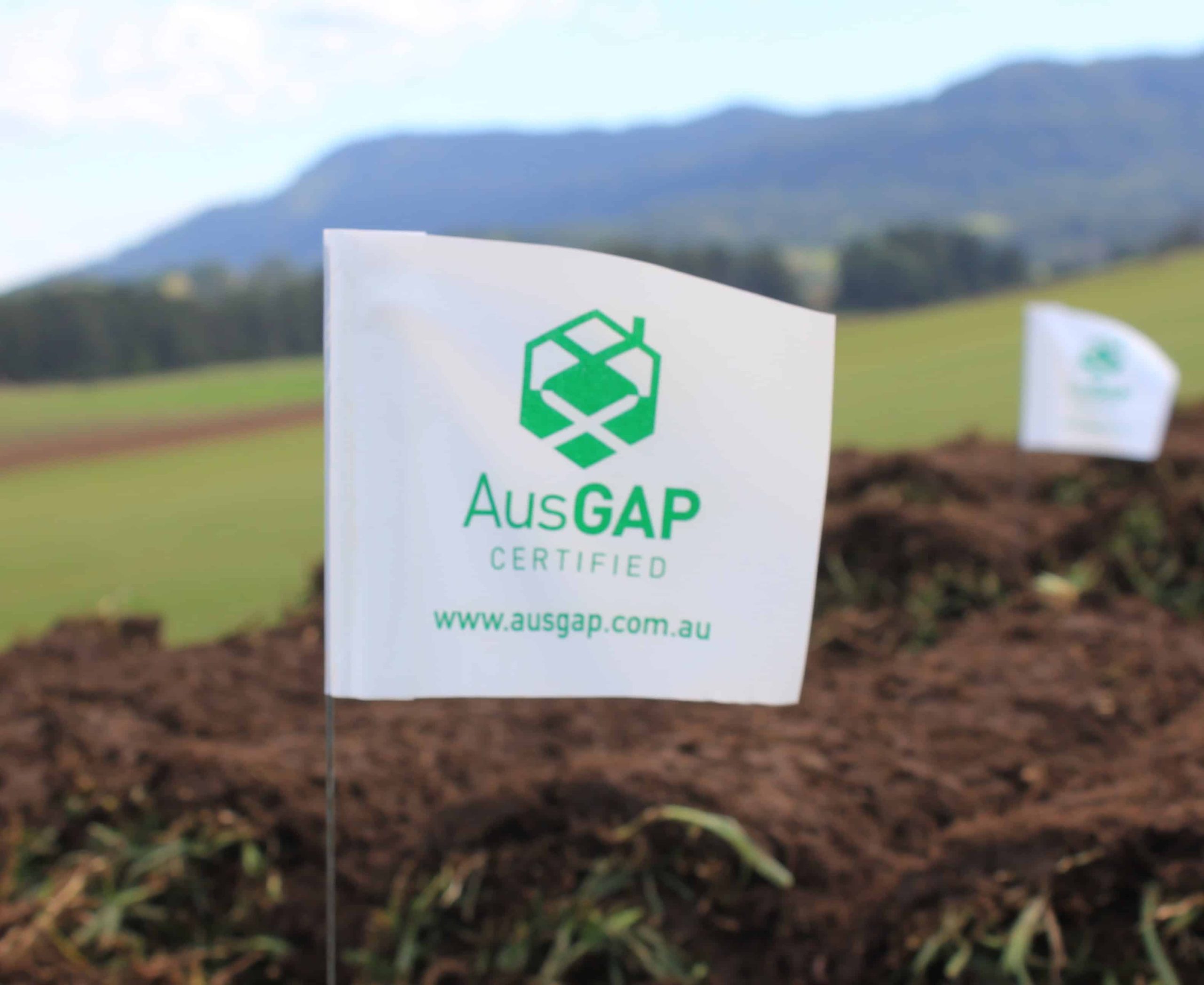What is the AusGAP Turf Certification Program?