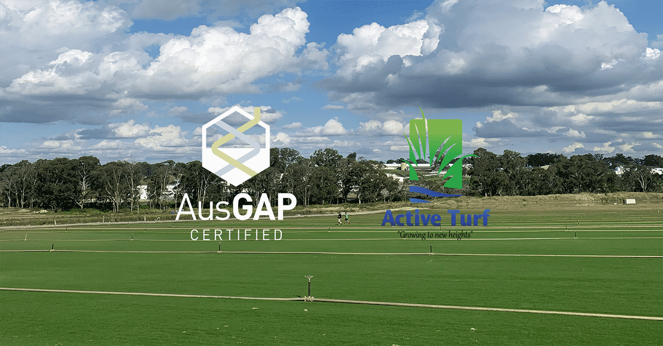 AusGAP Award 2021