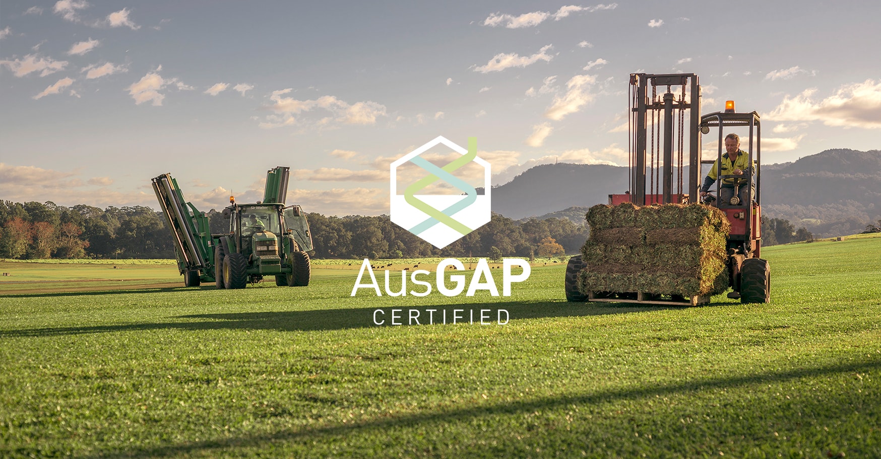 The AusGAP Process