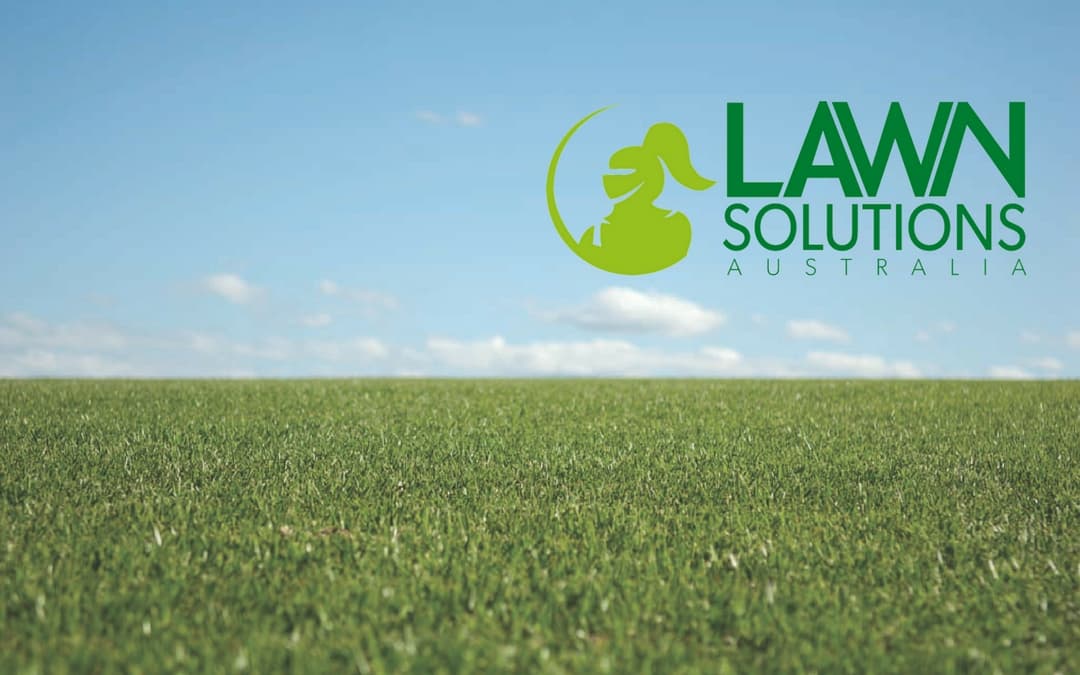 Lawn Solutions Australia growers become fully certified