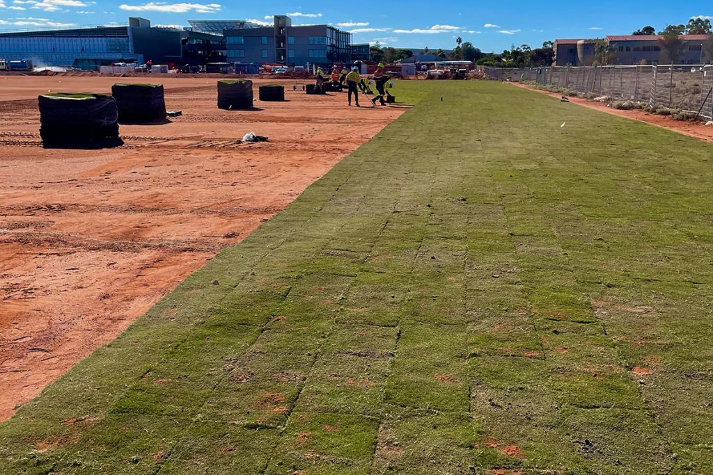 Case Study | Whyalla College Sports Fields