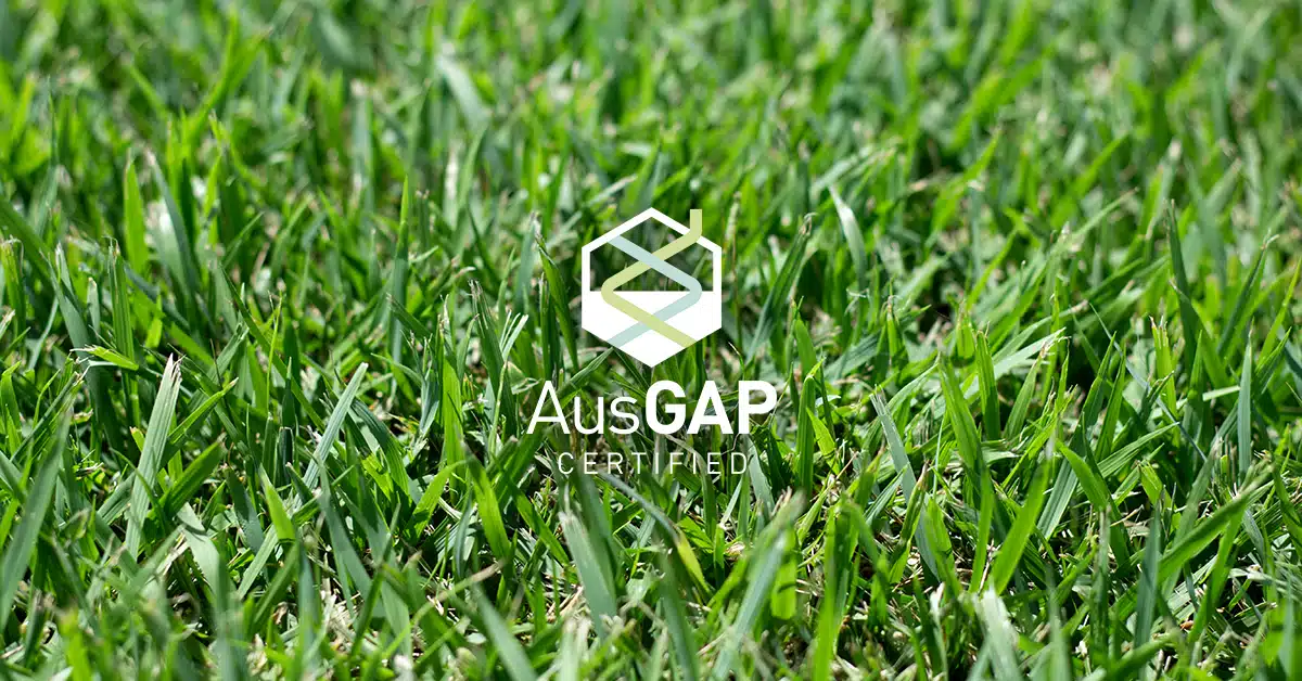 Why are warm season grasses more sustainable for the Australian climate?