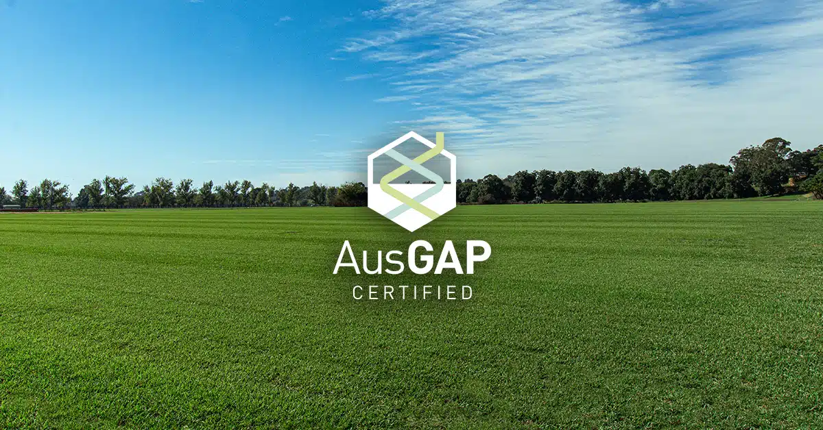 A guide to precision fertilising and its benefits for natural turf