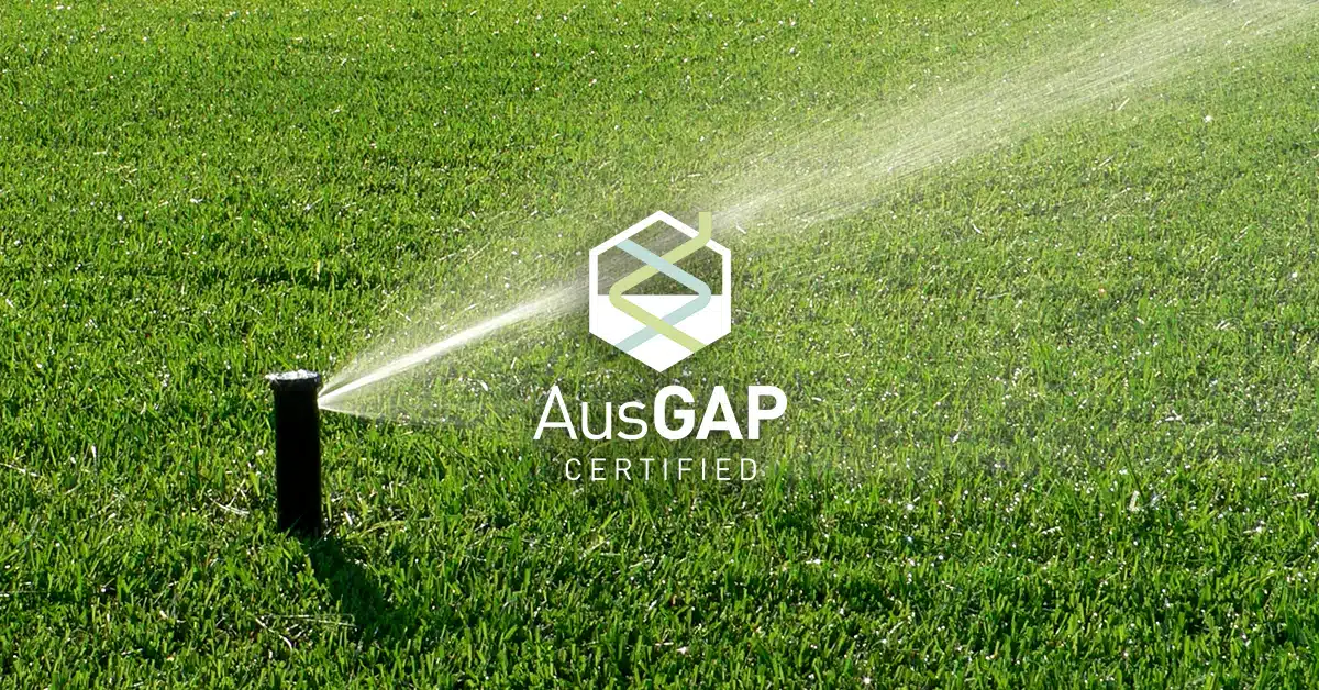 The science behind drought tolerant turfgrass varieties