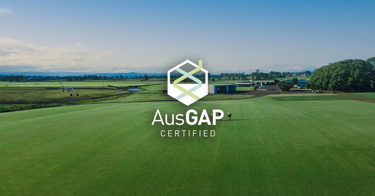 AusGAP certified turf vs non-certified turf