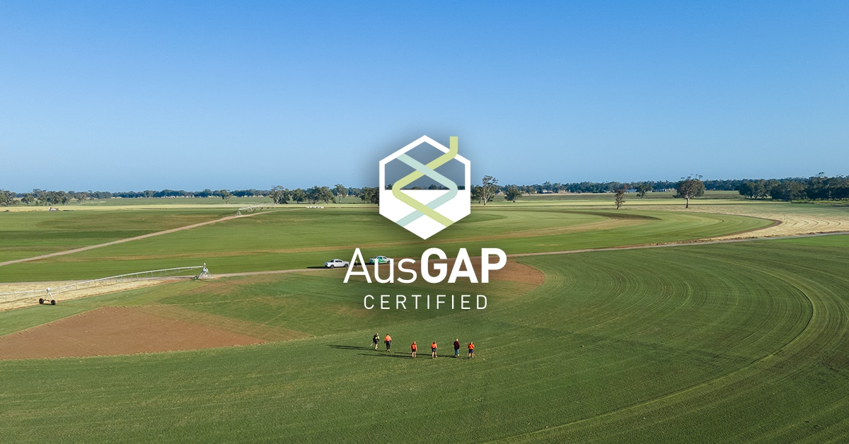 AusGAP: A Year in Review