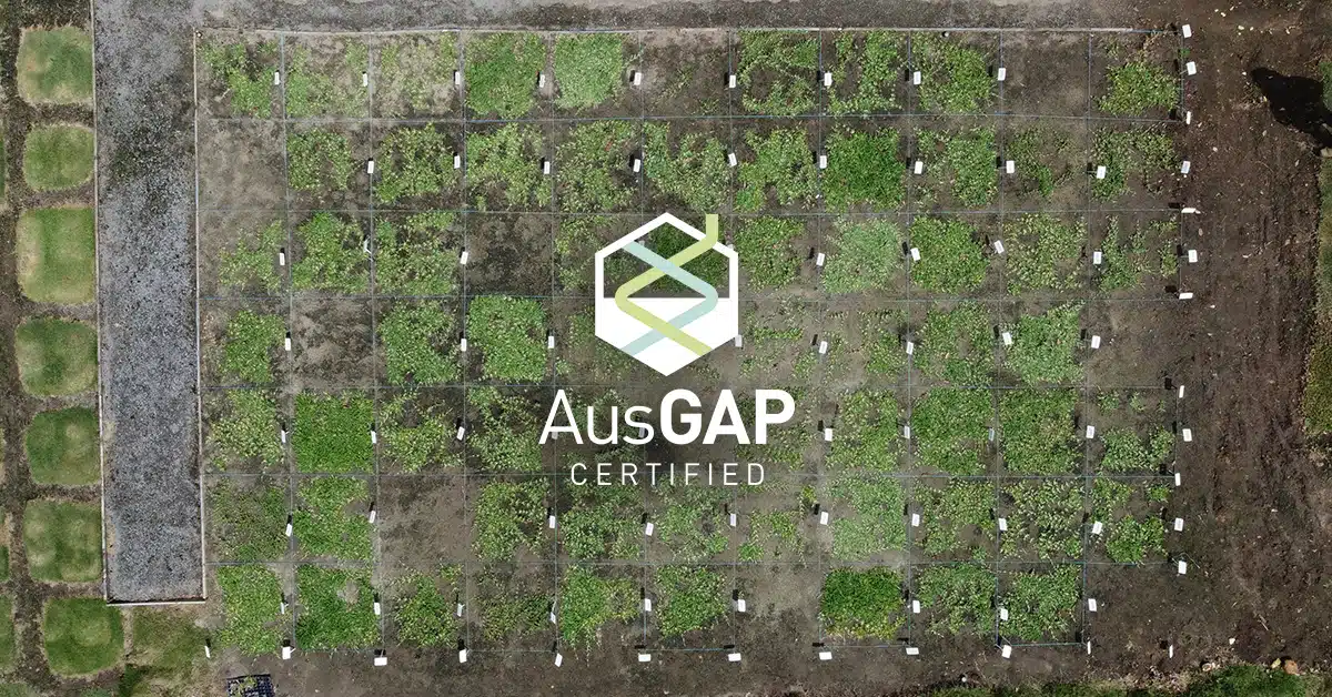 The process of introducing new turfgrasses into Australia