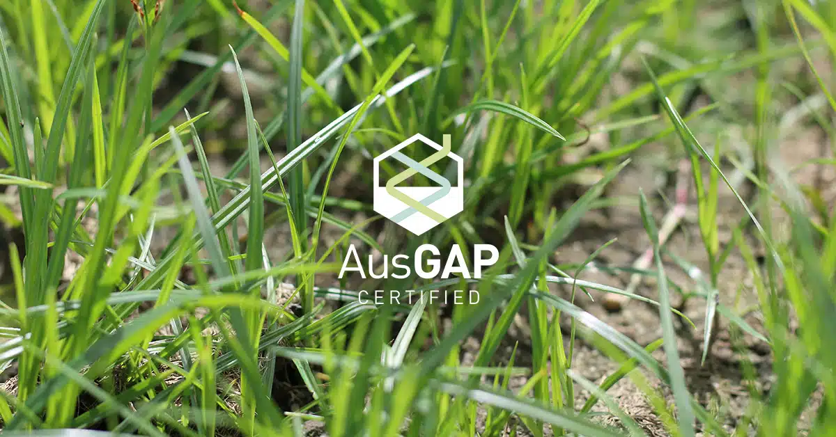 Using weeds as indicators of soil and environmental conditions